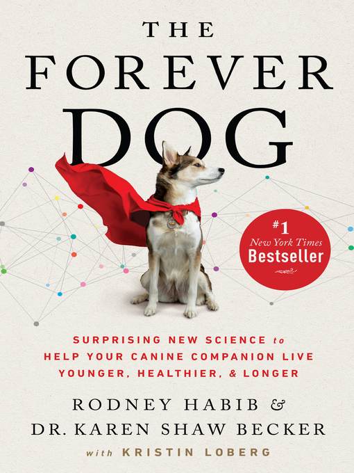 Cover image for The Forever Dog